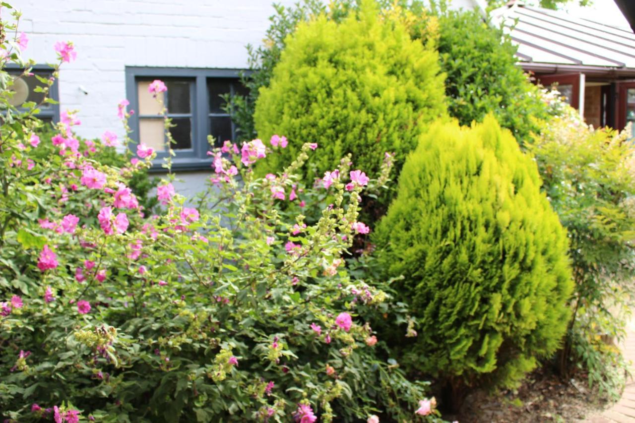 The Lord Byron Inn CBG Exterior foto